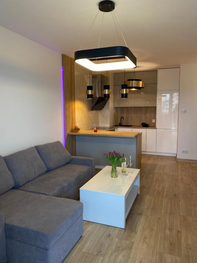 Comfortable Apartaments & Free Parking Gorzów Wielkopolski Exterior foto